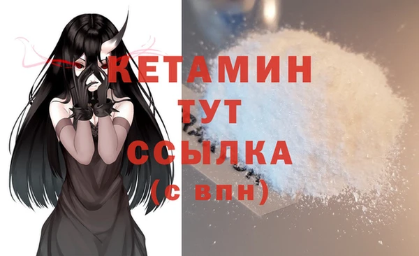 индика Нязепетровск