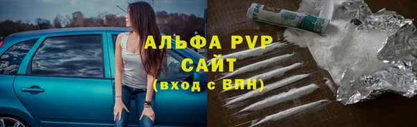 индика Нязепетровск