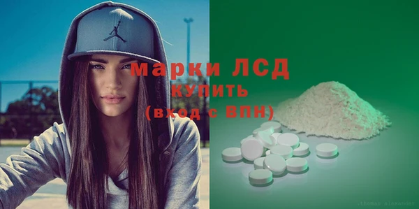 индика Нязепетровск