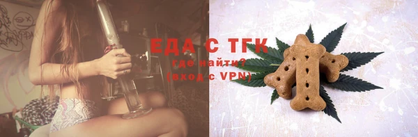 индика Нязепетровск