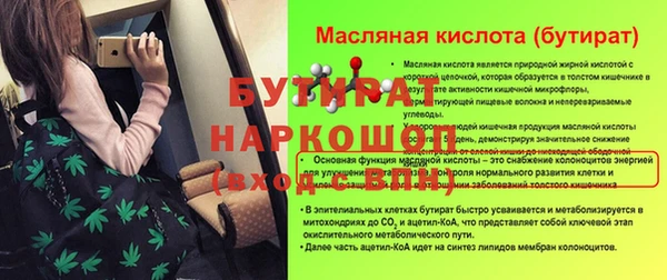 индика Нязепетровск