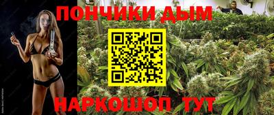 индика Гусь-Хрустальный