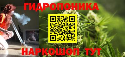 шишки Бийск