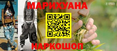 шишки Бийск