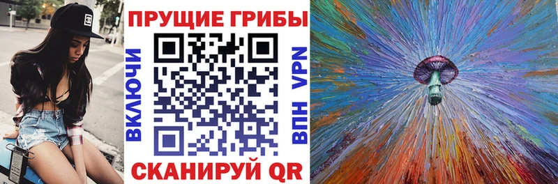 купить наркоту  Касимов  нарко площадка официальный сайт  Псилоцибиновые грибы GOLDEN TEACHER 
