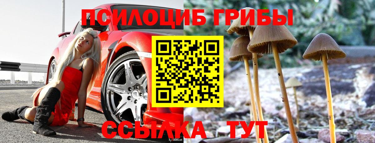 Галлюциногенные грибы GOLDEN TEACHER Касимов