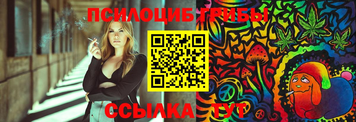 Псилоцибиновые грибы Cubensis Касимов