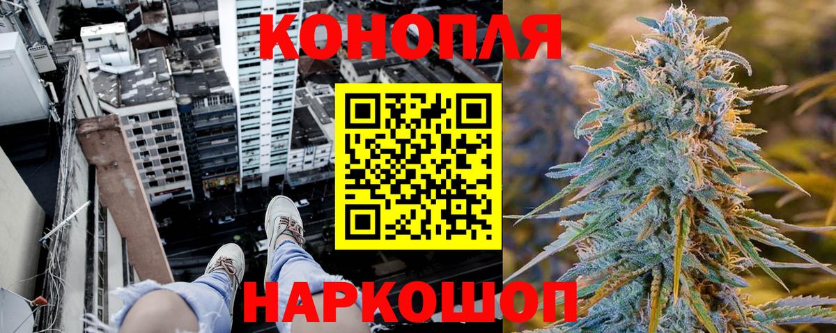 ГАШ Касимов